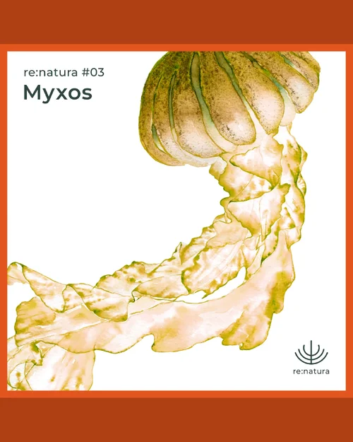 Compilation_#03_Instagram_Cover.webp Compilation_#03_Instagram_Cover.webp