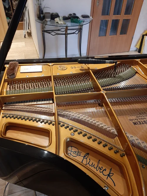 20231117_124419.webp 20231117_124419.webp