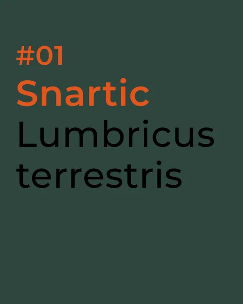 Compilation #03 Myxos #01_draft-0.png Compilation #03 Myxos #01_draft-0.png