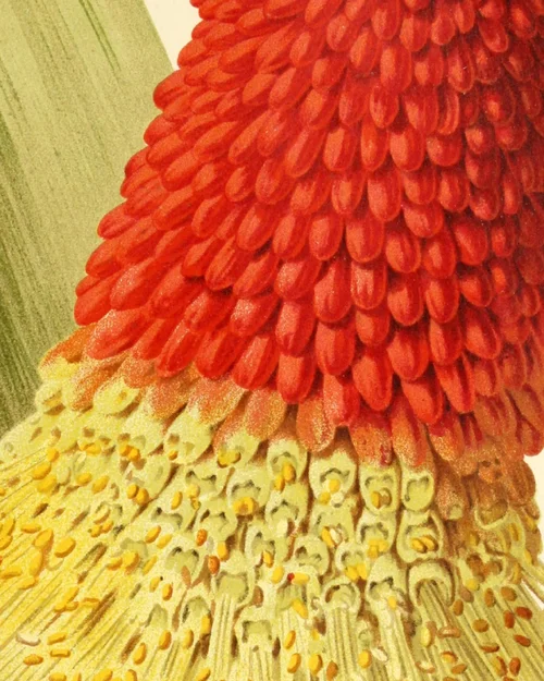 Compilation #03 Myxos #02-2.webp Compilation #03 Myxos #02-2.webp