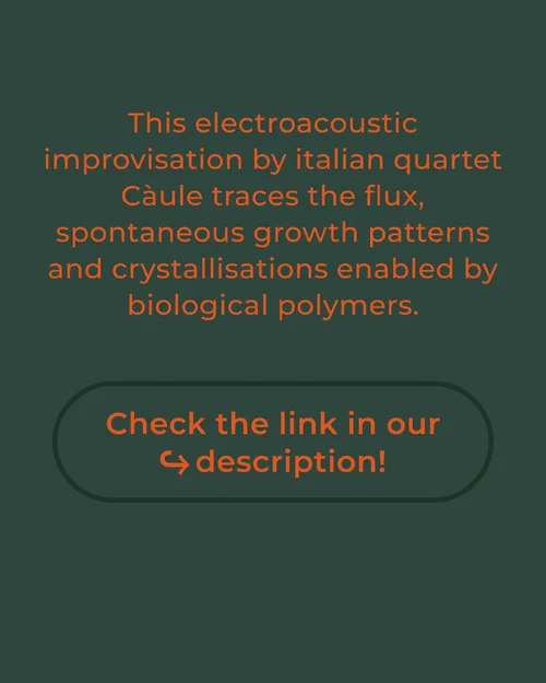 Compilation #03 Myxos #02-4.webp Compilation #03 Myxos #02-4.webp