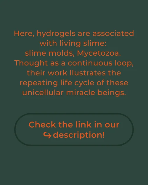 Compilation #03 Myxos #05_draft-3.webp Compilation #03 Myxos #05_draft-3.webp