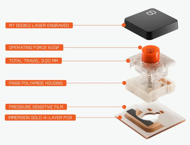 IMG_7094.jpeg IMG_7094.jpeg