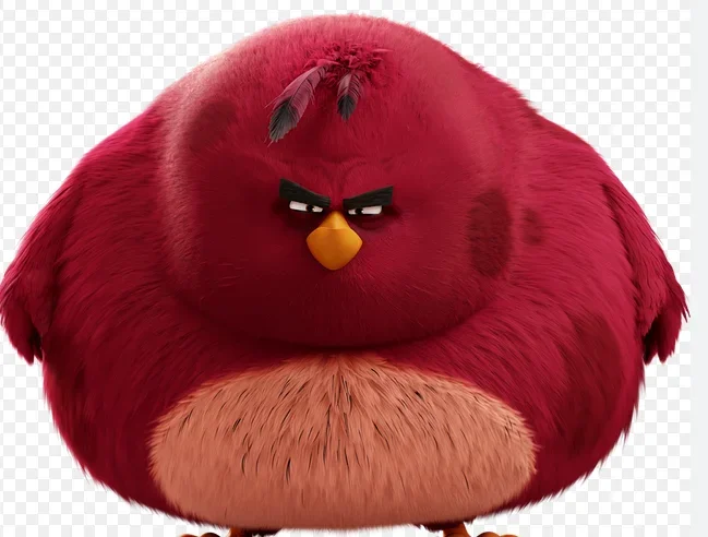 1701261194412.webp 1701261194412.webp