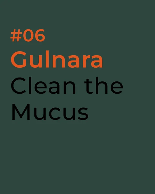 Compilation #03 Myxos #06-1.png Compilation #03 Myxos #06-1.png