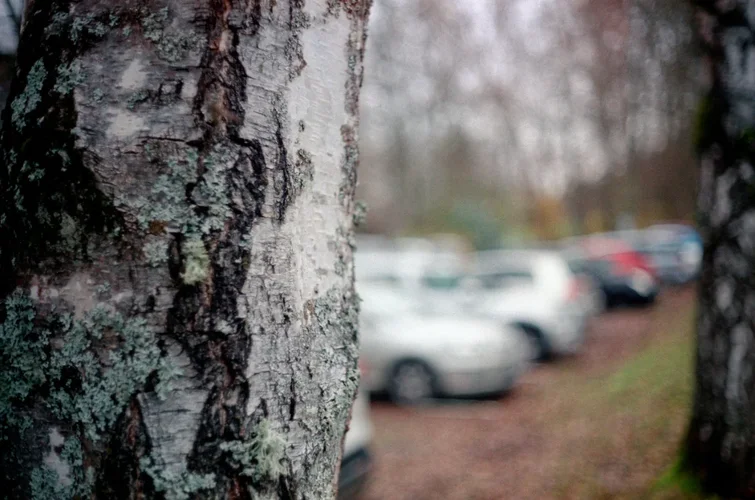 Spessart_Canon_QL17_005.webp Spessart_Canon_QL17_005.webp