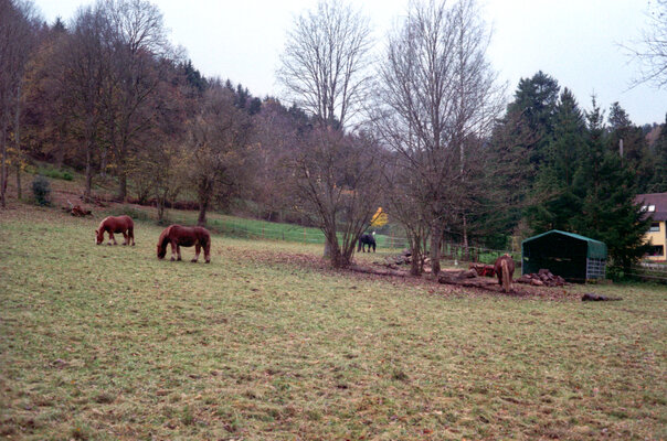 Spessart_Canon_QL17_002.jpg