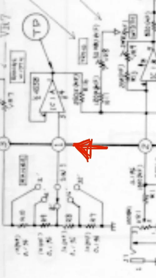 IMG_5533.jpeg IMG_5533.jpeg