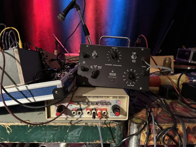 struppig tanzen 23 591.webp