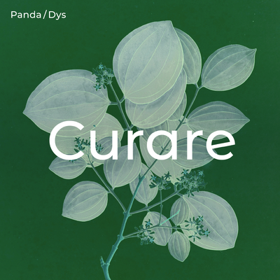 Cover Gregor Dys - Nils Panda – Curare_Instagram.png