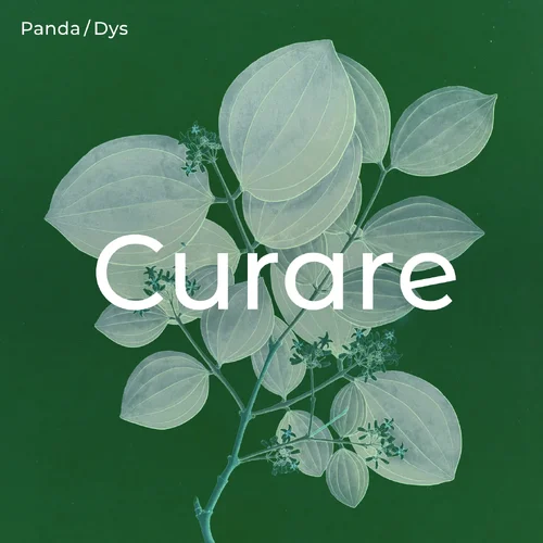 Cover Gregor Dys - Nils Panda – Curare_Instagram.webp Cover Gregor Dys - Nils Panda – Curare_Instagram.webp