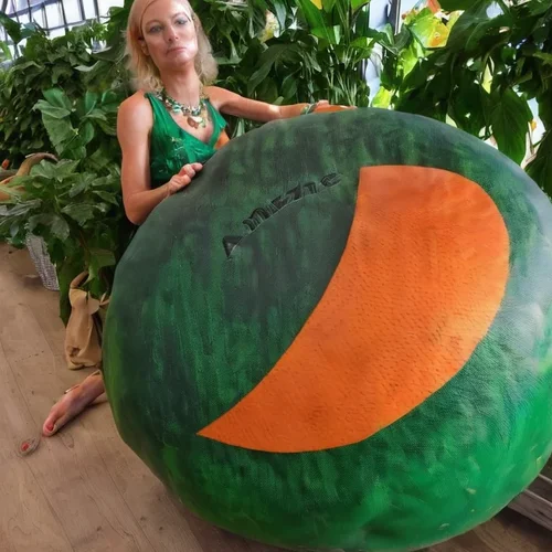 1706357804257.png 1706357804257.png