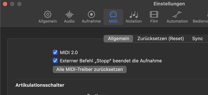 Bildschirmfoto 2024-01-29 um 19.36.50.jpg Bildschirmfoto 2024-01-29 um 19.36.50.jpg