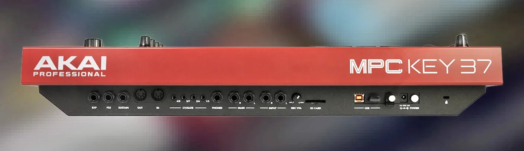 IMG_7201.jpeg IMG_7201.jpeg