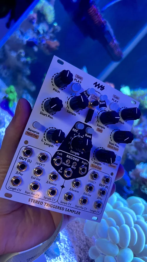 IMG_0605.jpeg IMG_0605.jpeg