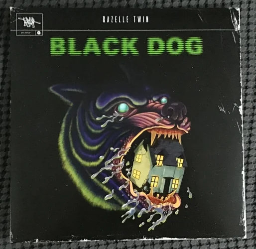 IMG_3539.webp IMG_3539.webp