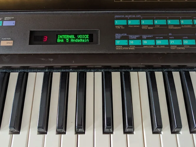 PXL_20240305_122638797.webp PXL_20240305_122638797.webp