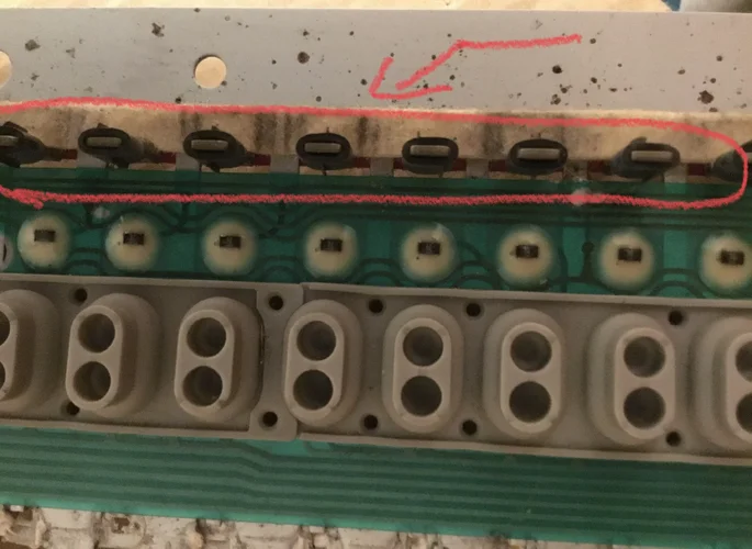 IMG_0557.webp IMG_0557.webp