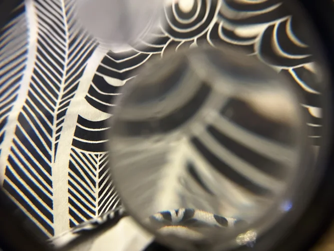 IMG_4869.webp IMG_4869.webp