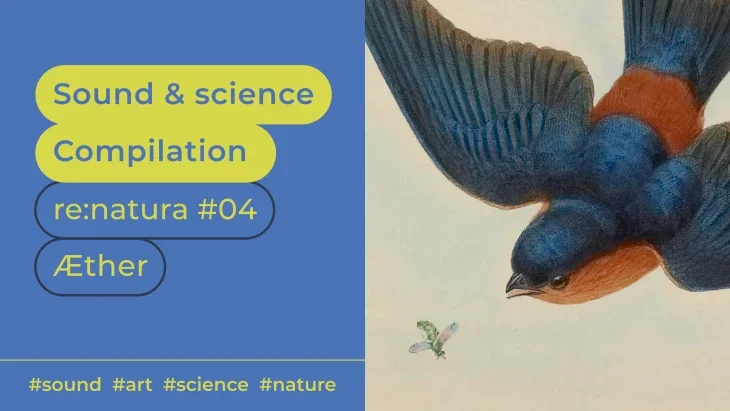 1711031043932.webp 1711031043932.webp