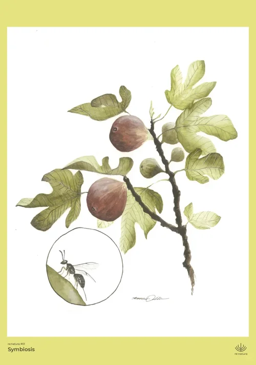 1711031044427.webp 1711031044427.webp