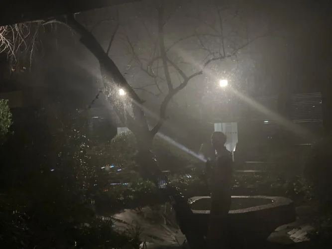 studiobuehne _6497.webp