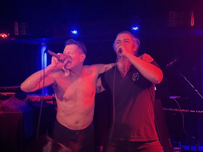 armageddon dildos.webp