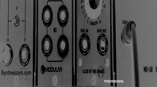 IMGP7362 M studiodragon.webp