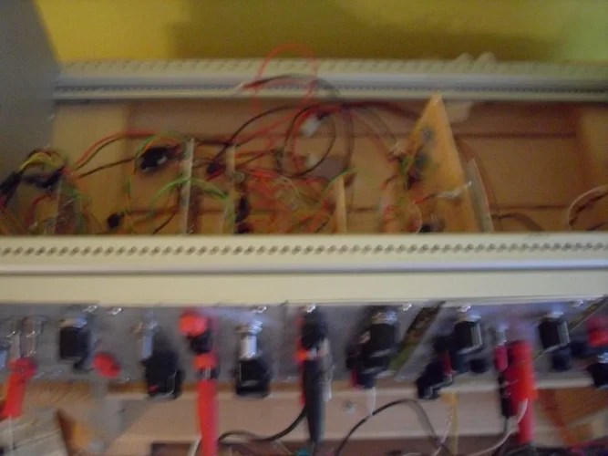 TeBe und Eingeweide.webp