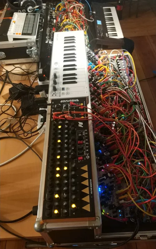 IMG_20240407_170342_cut.jpg IMG_20240407_170342_cut.jpg