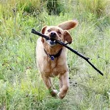 1713338428691.png 1713338428691.png