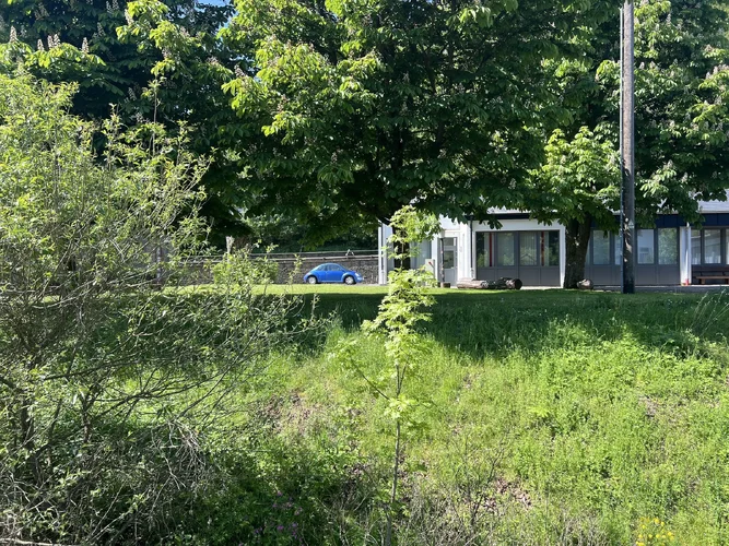 IMG_3842.jpg IMG_3842.jpg