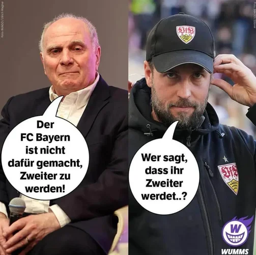 img_1_1716140923920~2.webp img_1_1716140923920~2.webp