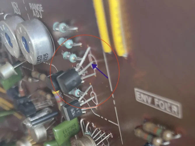 IMG_8997.jpg IMG_8997.jpg