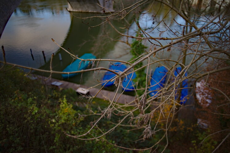 DSC03460.jpg