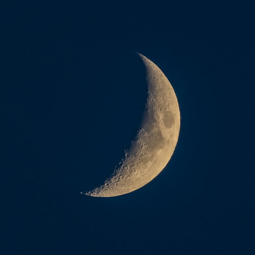 Mond 11.6.24.jpeg