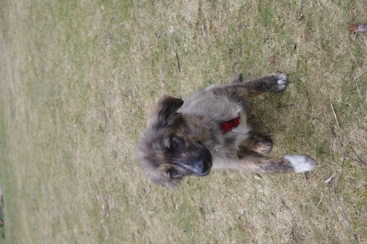 IMGP7910.webp IMGP7910.webp