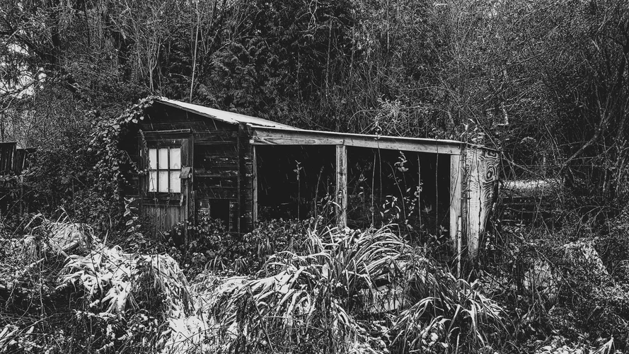 20201231_132426.webp 20201231_132426.webp