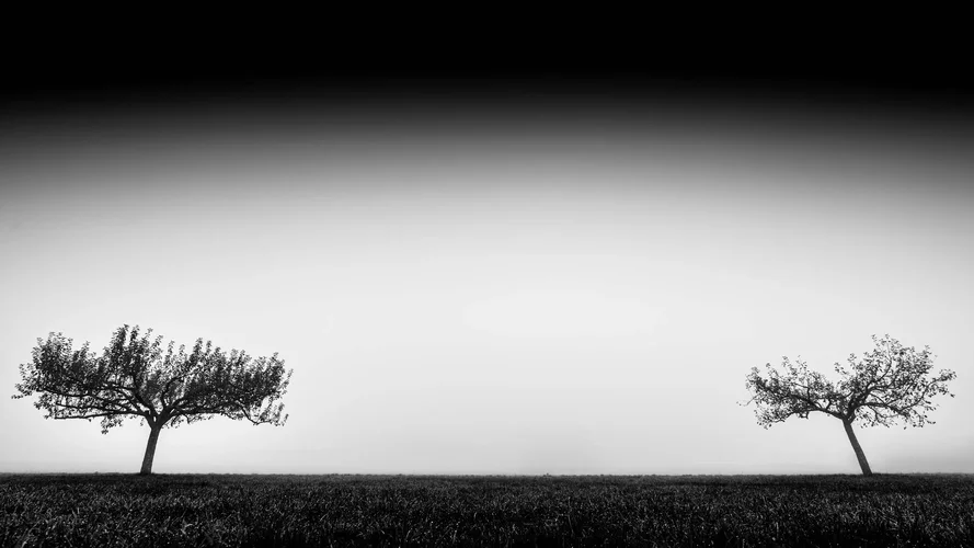 _DSC3660-3.webp _DSC3660-3.webp