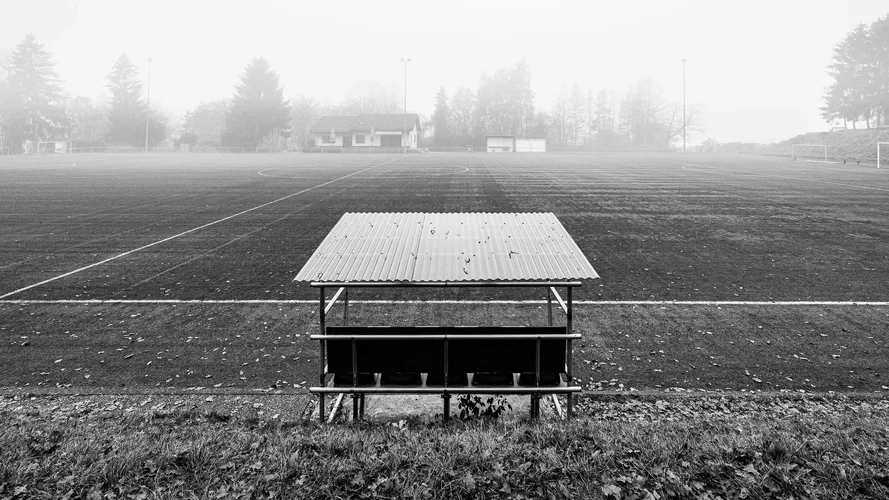 _DSC3730.webp _DSC3730.webp