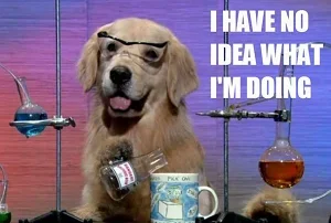 1720186347239.png 1720186347239.png