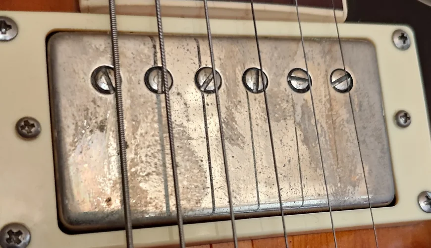 P_20240811_123429_1.jpg P_20240811_123429_1.jpg