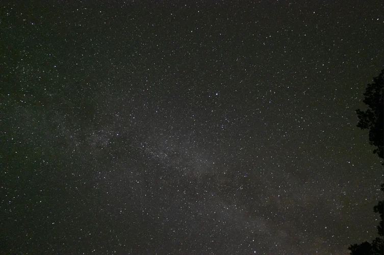 Bildschirmfoto 2024-08-12 um 16.56.51.webp