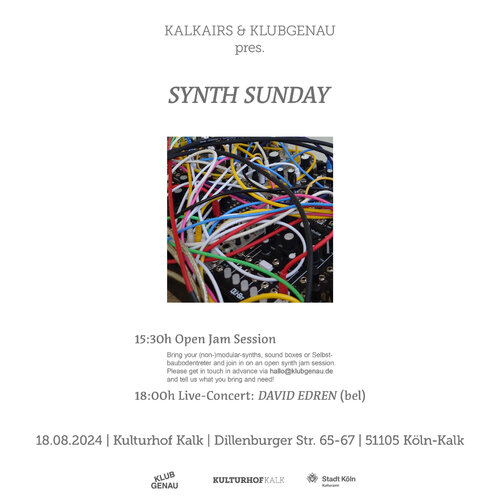 SYNTH-SUNDAY_2.jpg SYNTH-SUNDAY_2.jpg
