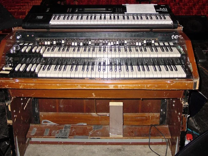 jl organ.jpg jl organ.jpg