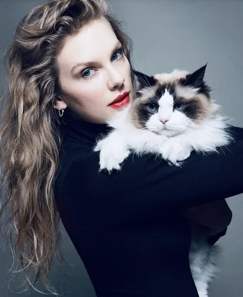 1726234250385.webp 1726234250385.webp