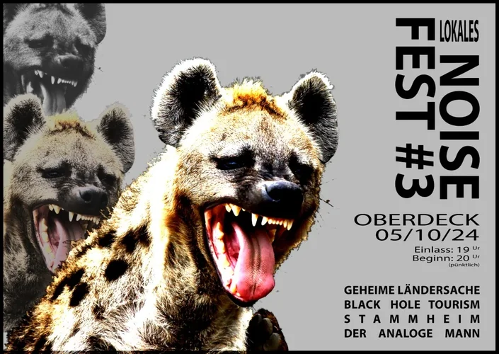 lokales noise fest 3.jpg lokales noise fest 3.jpg