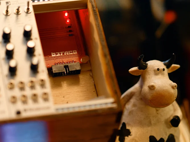 1-czy-pamietasz-te-noc-w-tatarakach.jpg 1-czy-pamietasz-te-noc-w-tatarakach.jpg