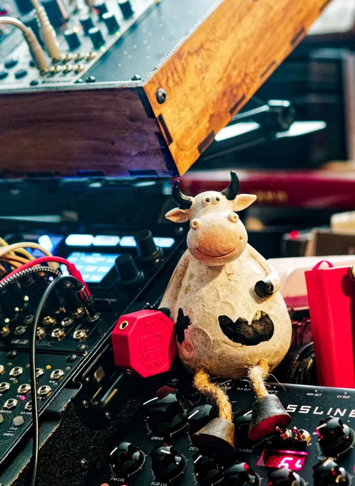 chuj-i-pizda-w-nocy-gwizda.jpg chuj-i-pizda-w-nocy-gwizda.jpg