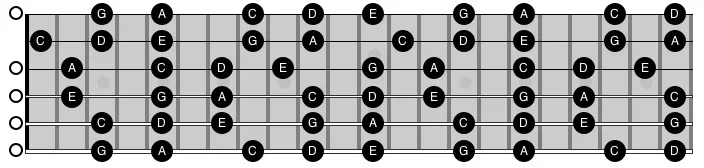 IMG_5285.webp IMG_5285.webp